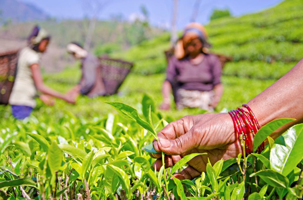 USAID Programs in Nepal