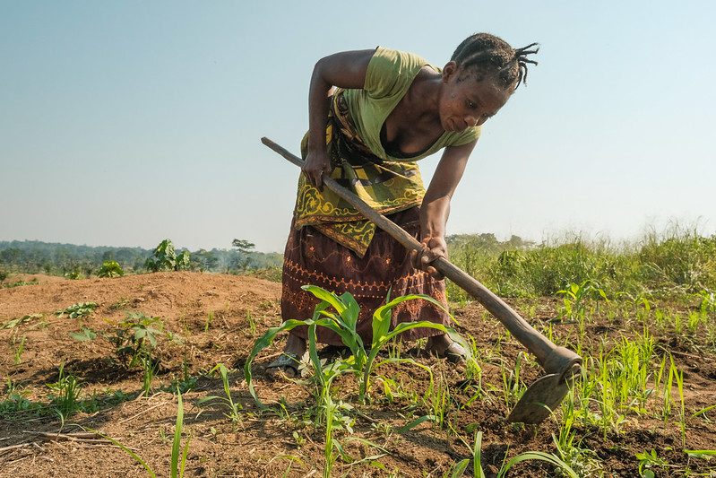 USAID’s support in the Congo