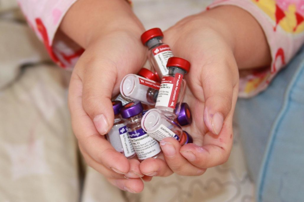 Vaccine Temperature Monitoring
