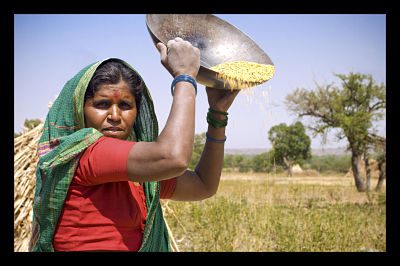 Viral_MIT_Microfinance
