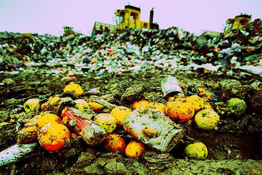 Wasting-Food-in-America