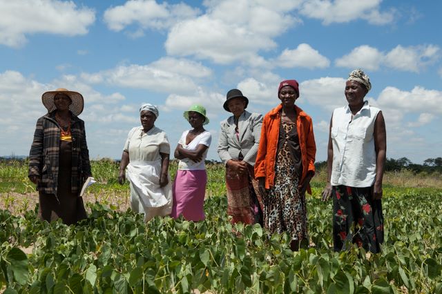 Women’s Rights in Zimbabwe