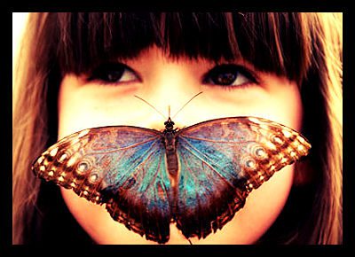 The Butterfly Effect