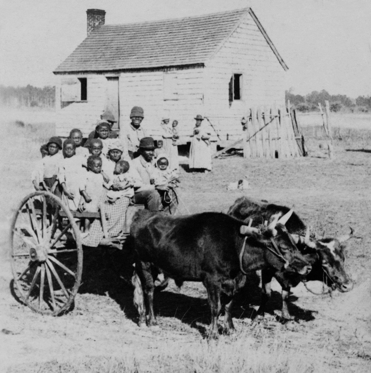 cart