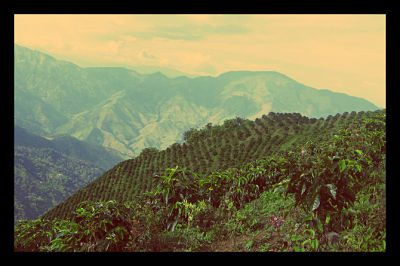colombia_opt