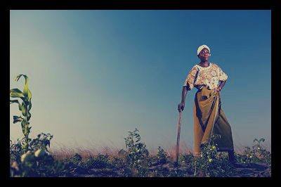 farmer