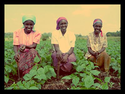 Small Farmers New Agriculture Methods