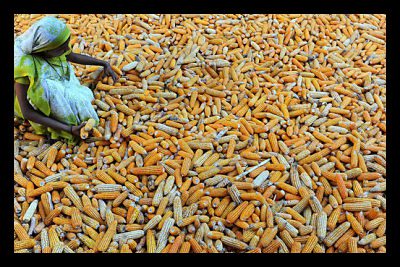 food security
