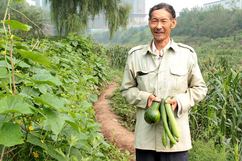 Green Nitrogen Fixation