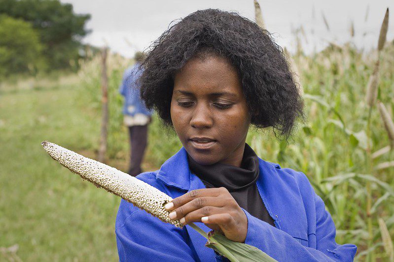 Economic Empowerment for Women in Zimbabwe