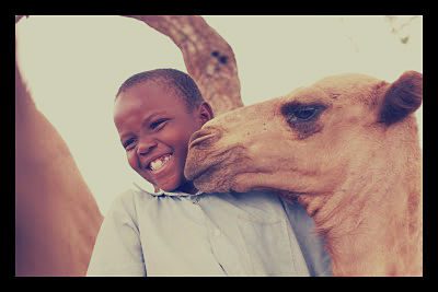 Heifer International heifer_opt-1
