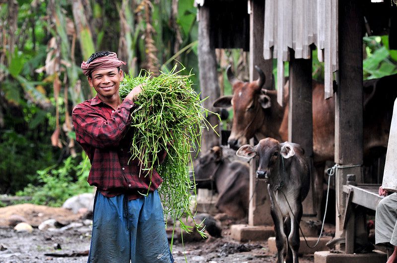 infrastructure development in Cambodia