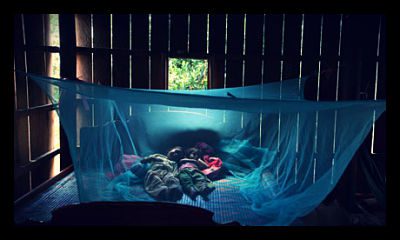 malaria_bed_nets