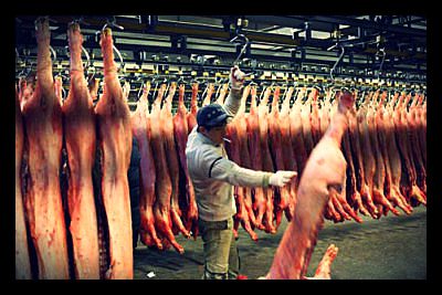 meat_greed