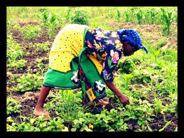 10 Ways to Help Poor Farmers and Their Communities
