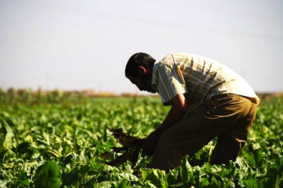 morocco_fighting_poverty