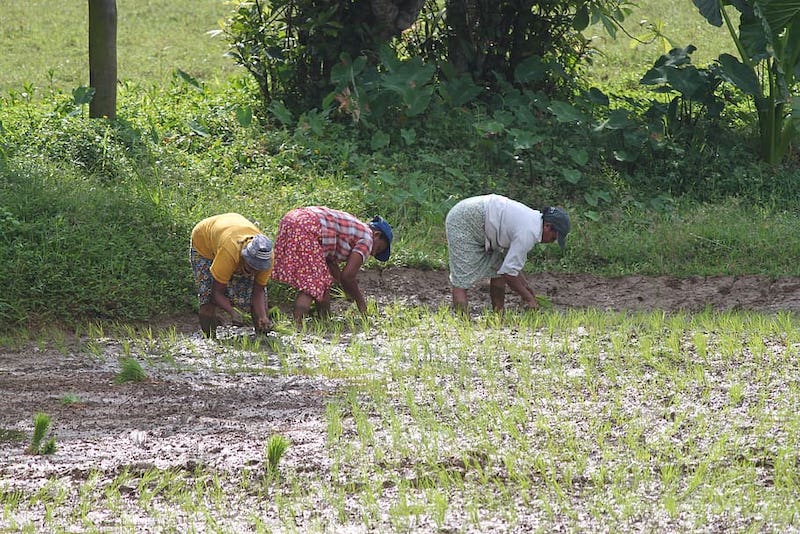 Workers' Rights In Southeast Asia