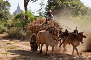poor in Myanmar