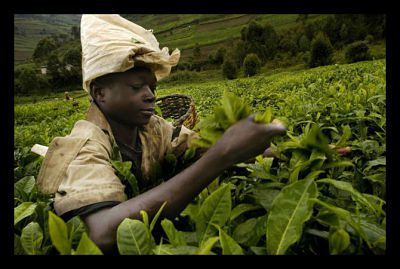 poverty-reduction