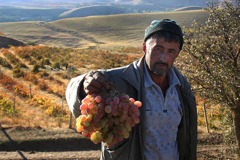projects-in-tajikistan