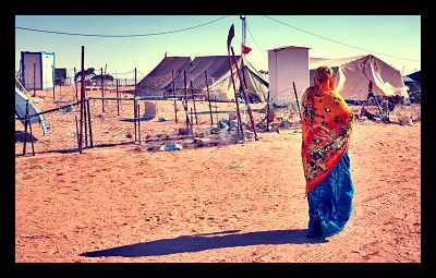 refugee_opt