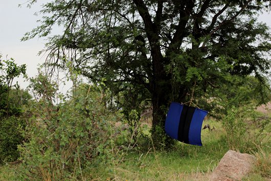 sleeping_sickness