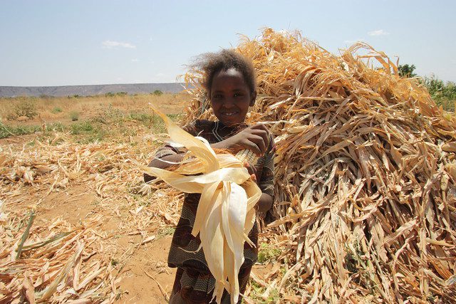 sustainable irrigation