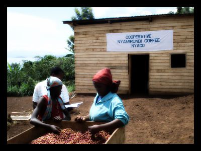 technoserve