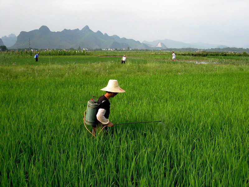 updates on SDG Goal 1 in China