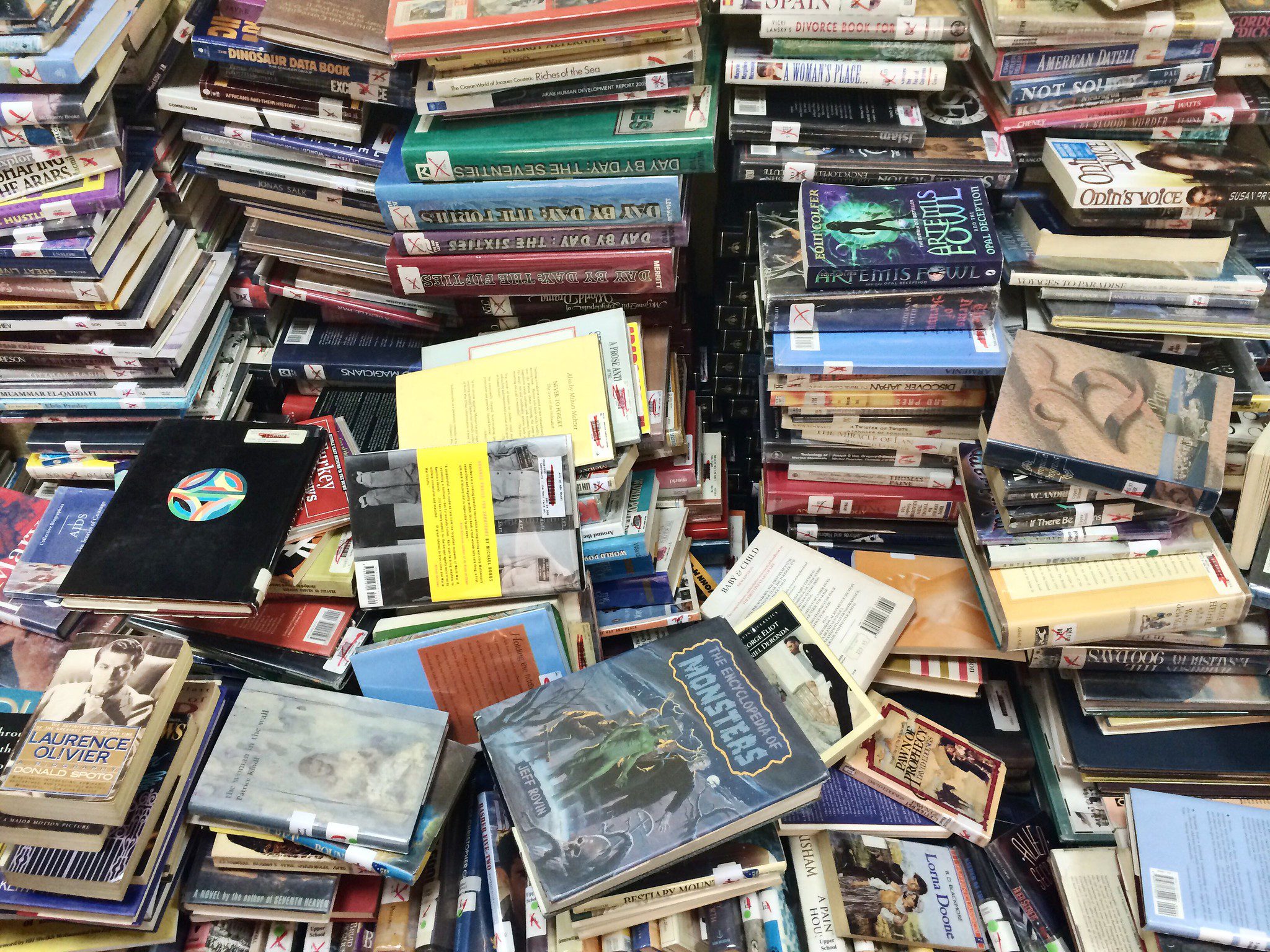 Novels About Global Poverty