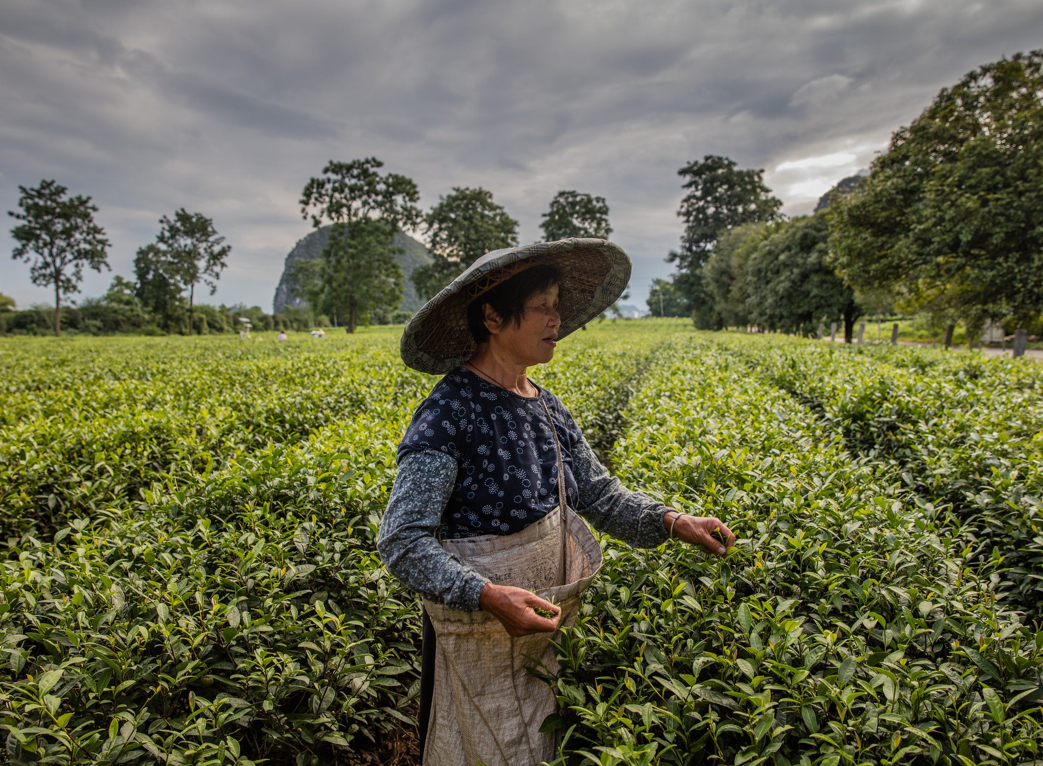 10 Facts About Rural Poverty in China