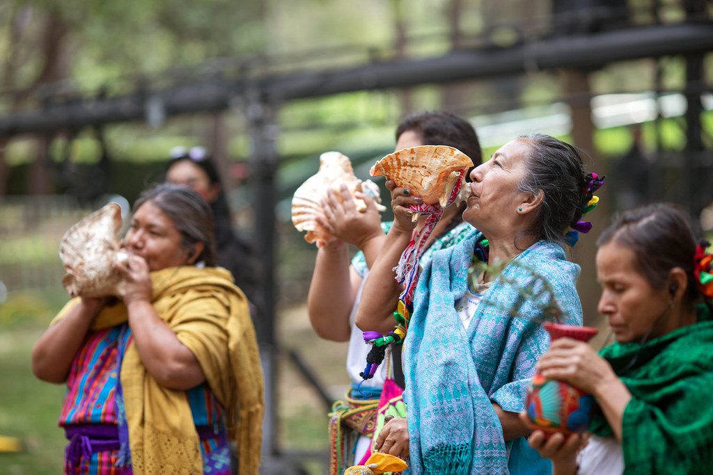 Poverty in Indigenous Communities in Mexico