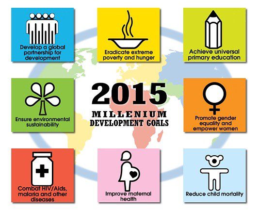 What Have the Millennium Development Goals Achieved?