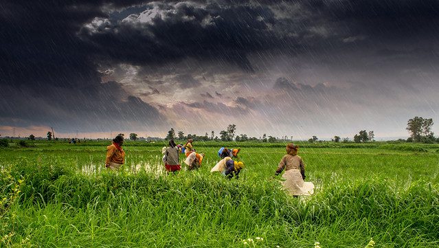 Artificial Intelligence Helps the Impoverished