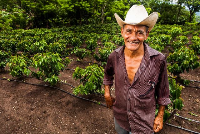 Blockchain-Based Land Registry in Honduras