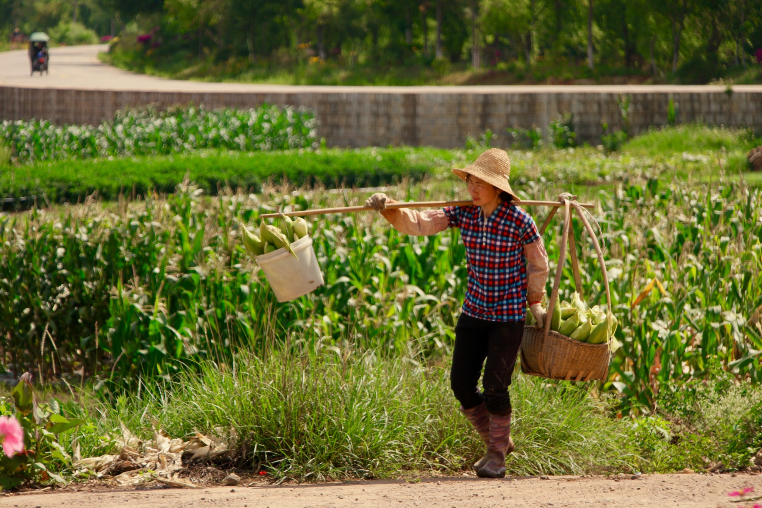 Combat Rural Poverty in China