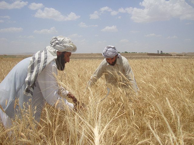 Credit Access in Afghanistan