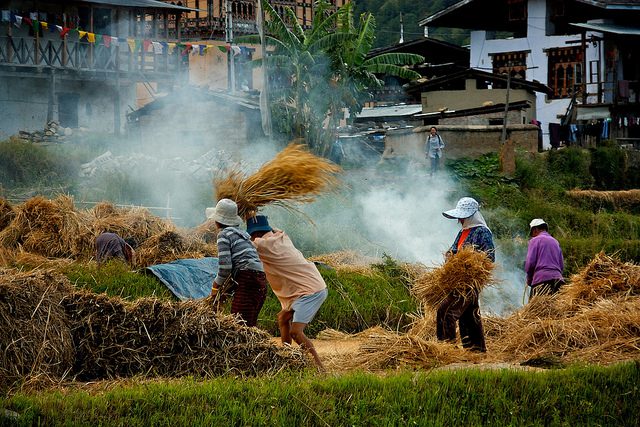 Credit Access in Bhutan