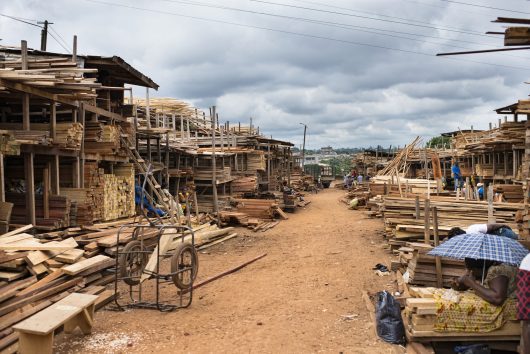 Development Projects in Cameroon