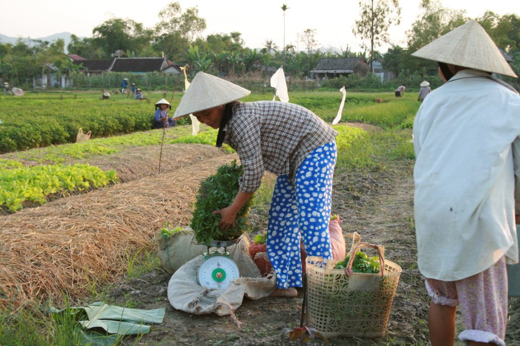 Digital Economy in Vietnam 