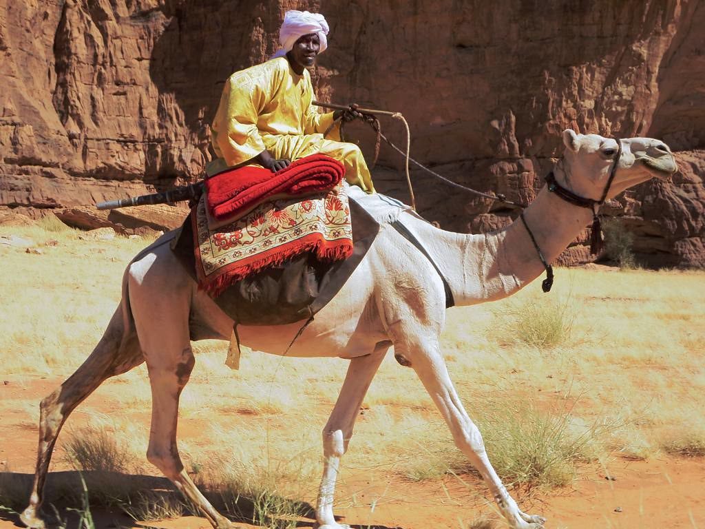 Environmental Change in Chad
