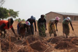 Ethical Farming Campaigns