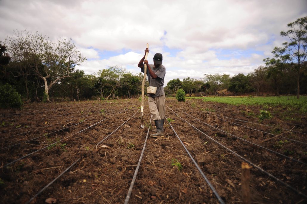 Farming Methods in Central America