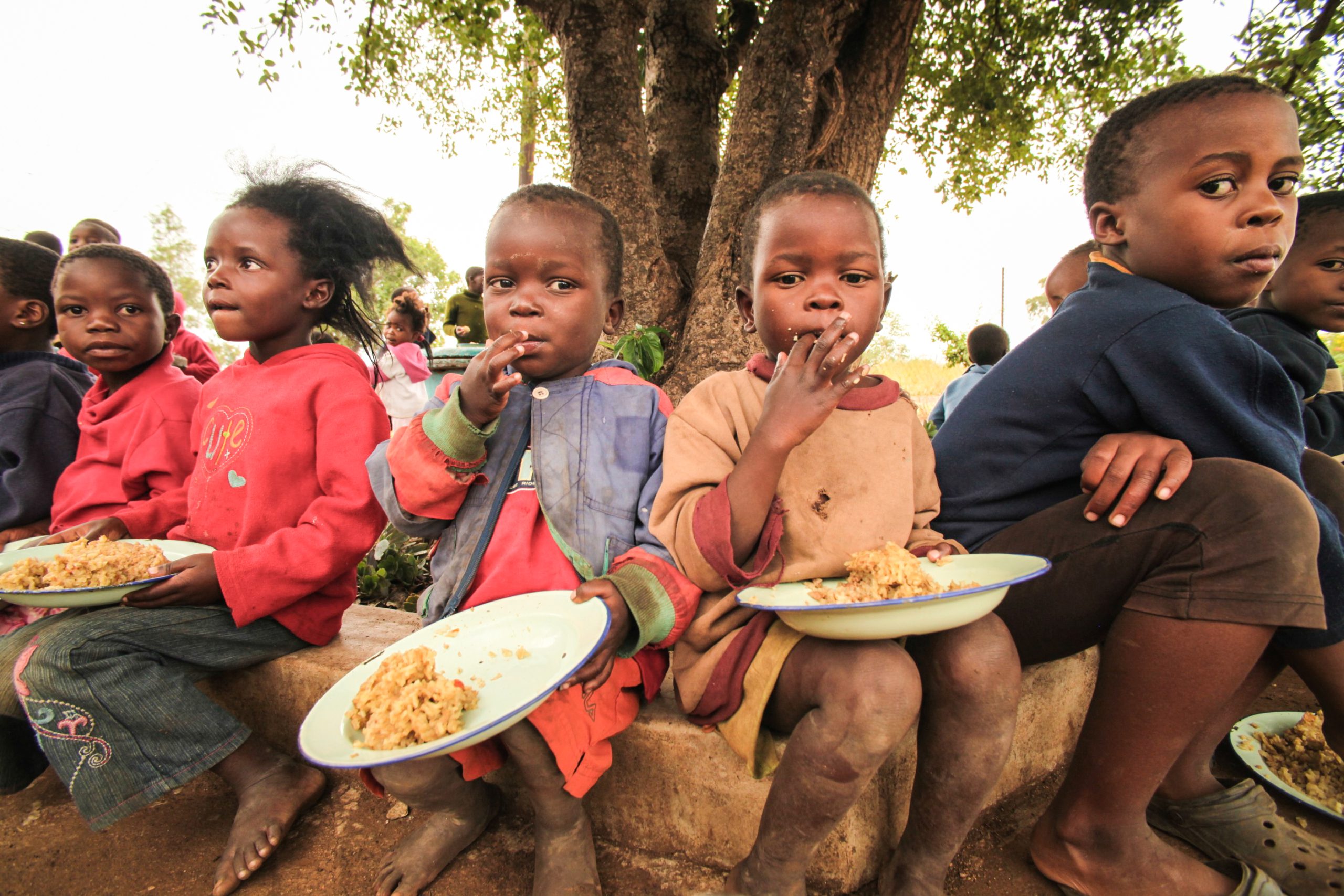 Five NGOs Fighting World Hunger