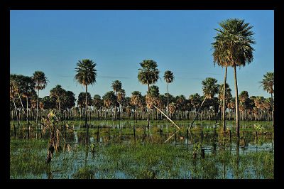 Flooding_in_paraguay