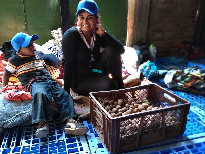 Food Insecurity in Venezuela
