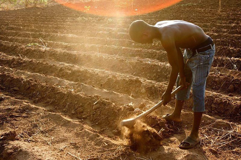 How COVID-19 Has Impacted Hunger In Brazil