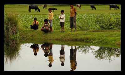 Global Development Indicators