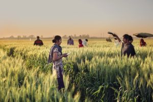 Making Nutrition Attainable