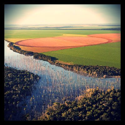 Mato Grosso_opt